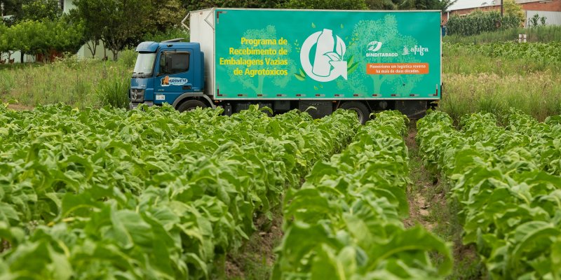 Caminhão com a caçamba verde em meio a uma plantação de tabaco verde